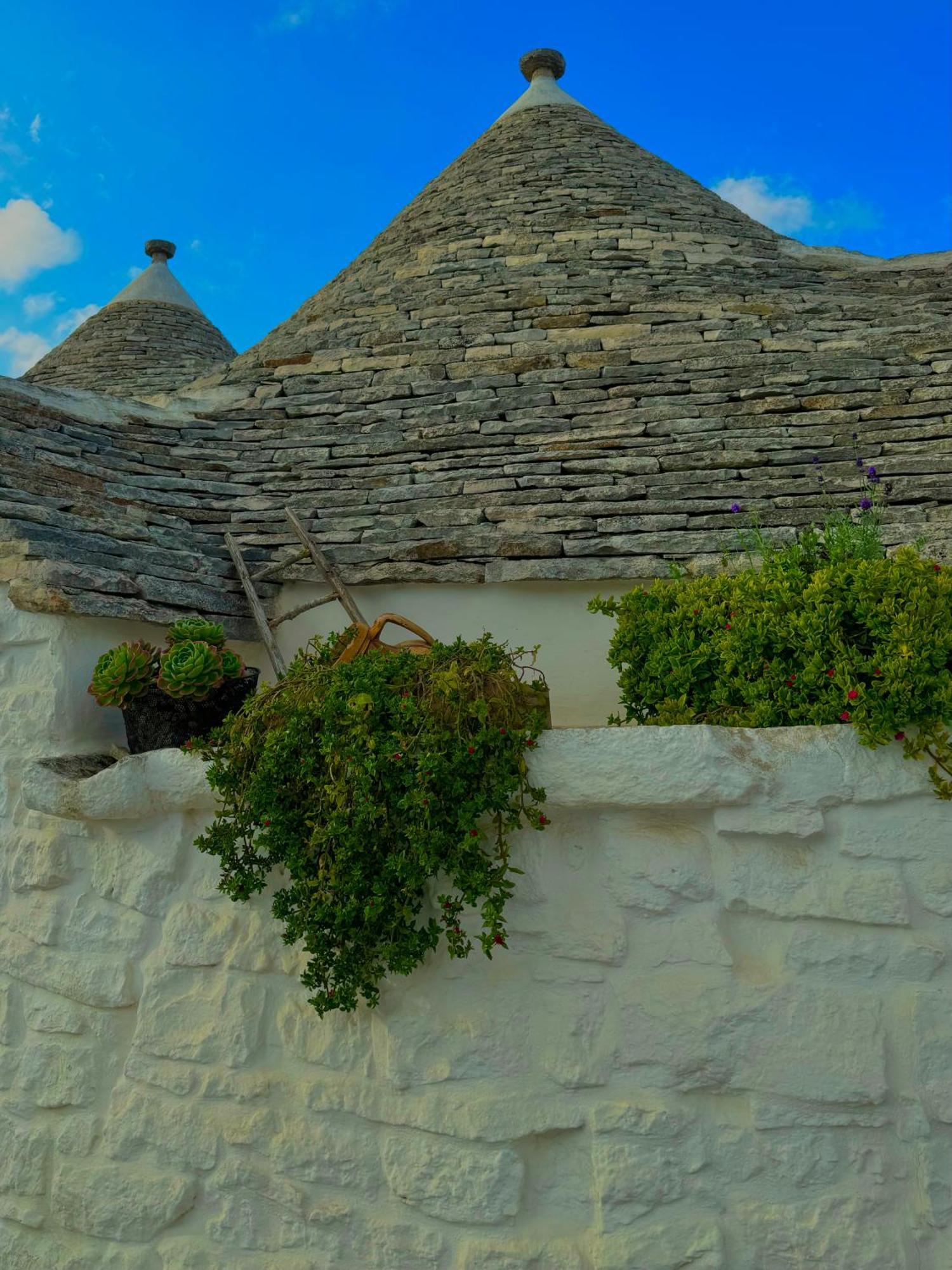 Trullo Galileo Villa Alberobello Ngoại thất bức ảnh